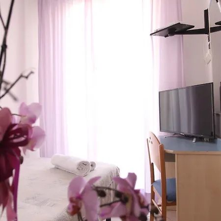 Giorg - Waterpark Free Entrance 3* リミニ