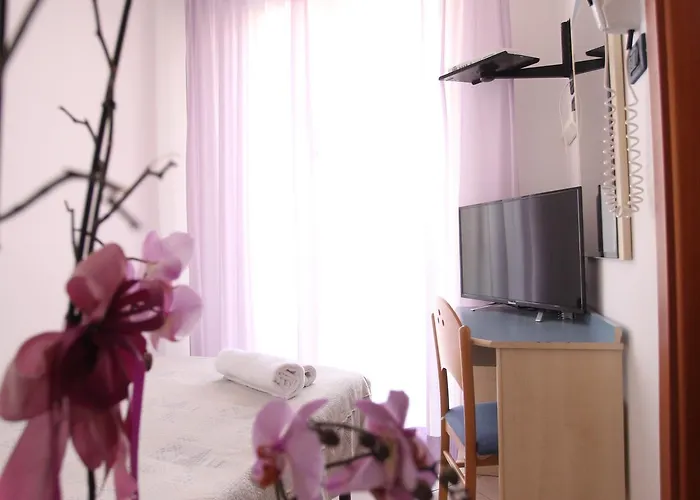 Giorg - Waterpark Free Entrance 3* 里米尼